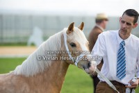 /album/fotogalerij/img-1320-jpg/