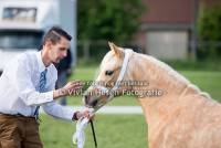 /album/fotogalerij/img-1321-jpg/