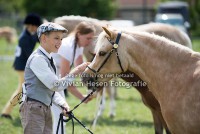 /album/fotogalerij/img-1335-jpg/