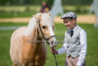/album/fotogalerij/img-1336-jpg/