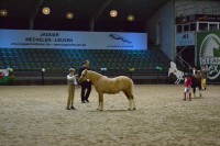 /album/fotogalerij/img-0823-jpg/
